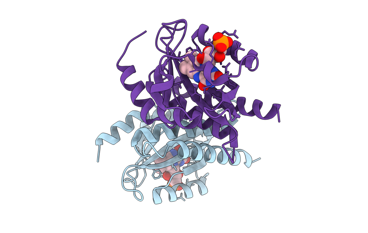 4HJ3 image