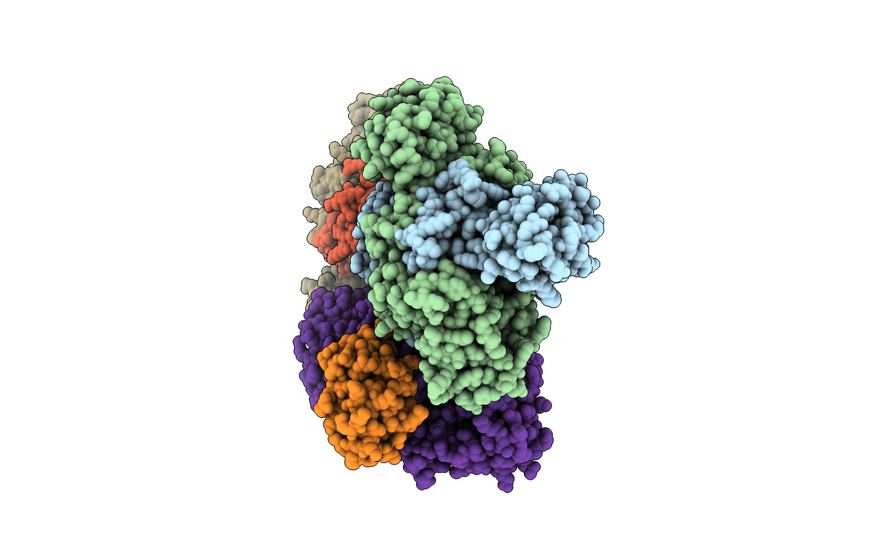 4HL6 image