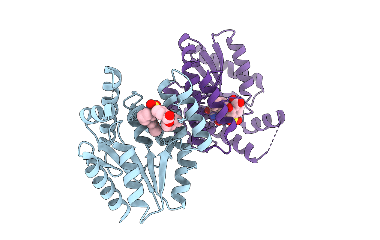 4HLC image