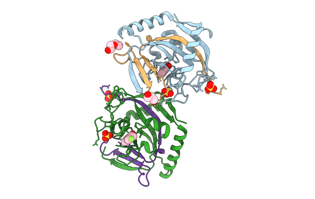 4HLH image