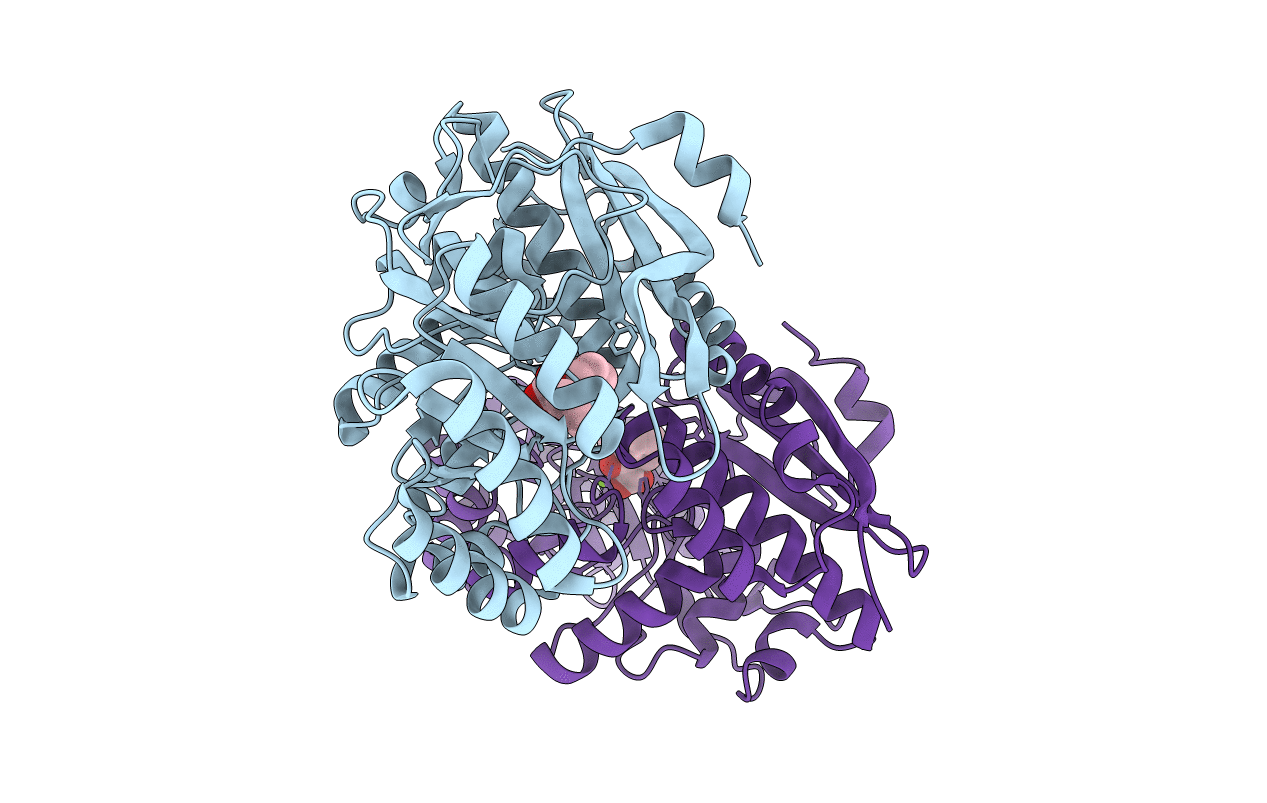 4HNC image