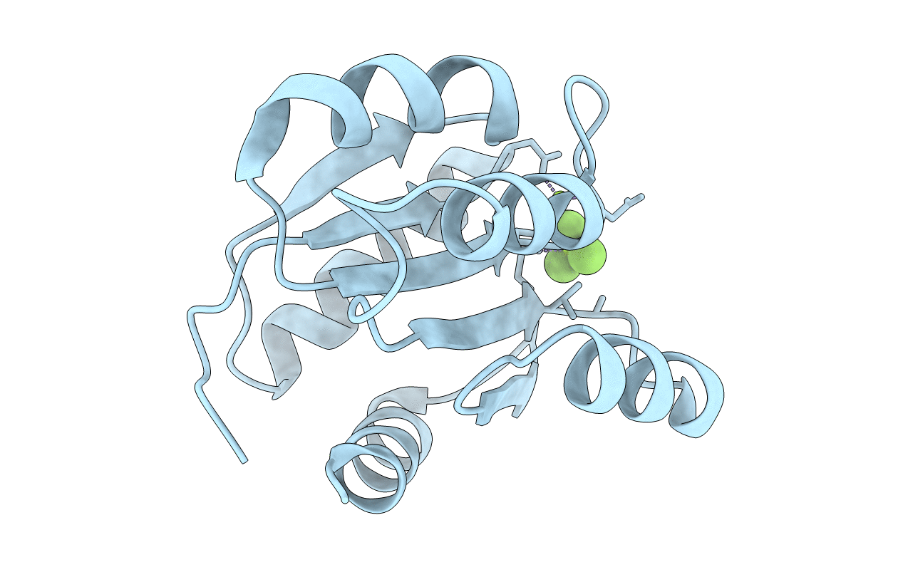 4HNS image