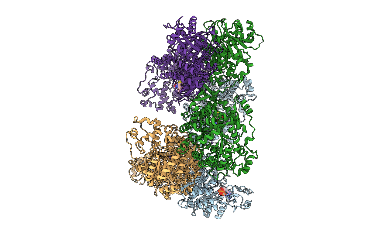 4HNT image