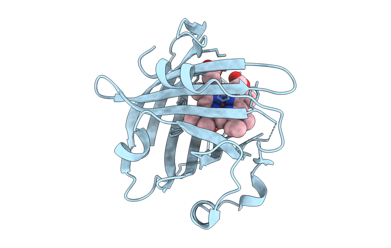 4HPB image