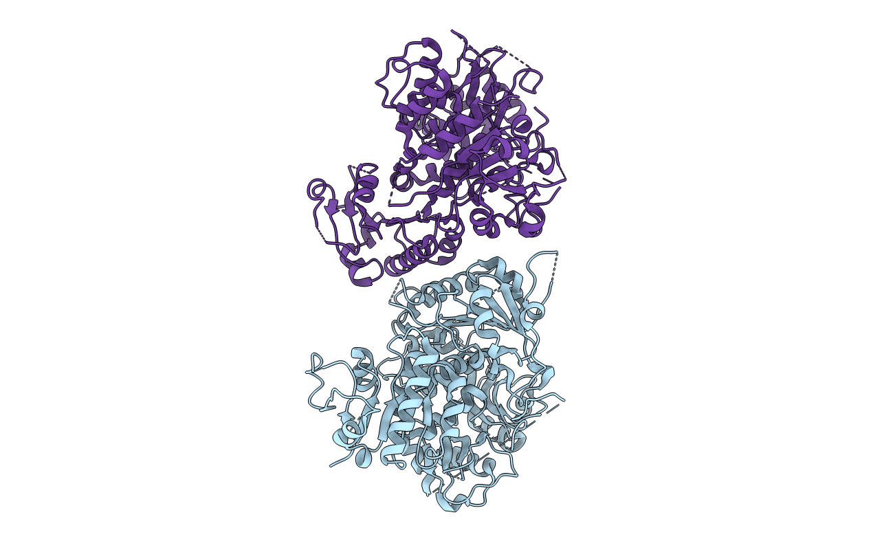 4HPF image