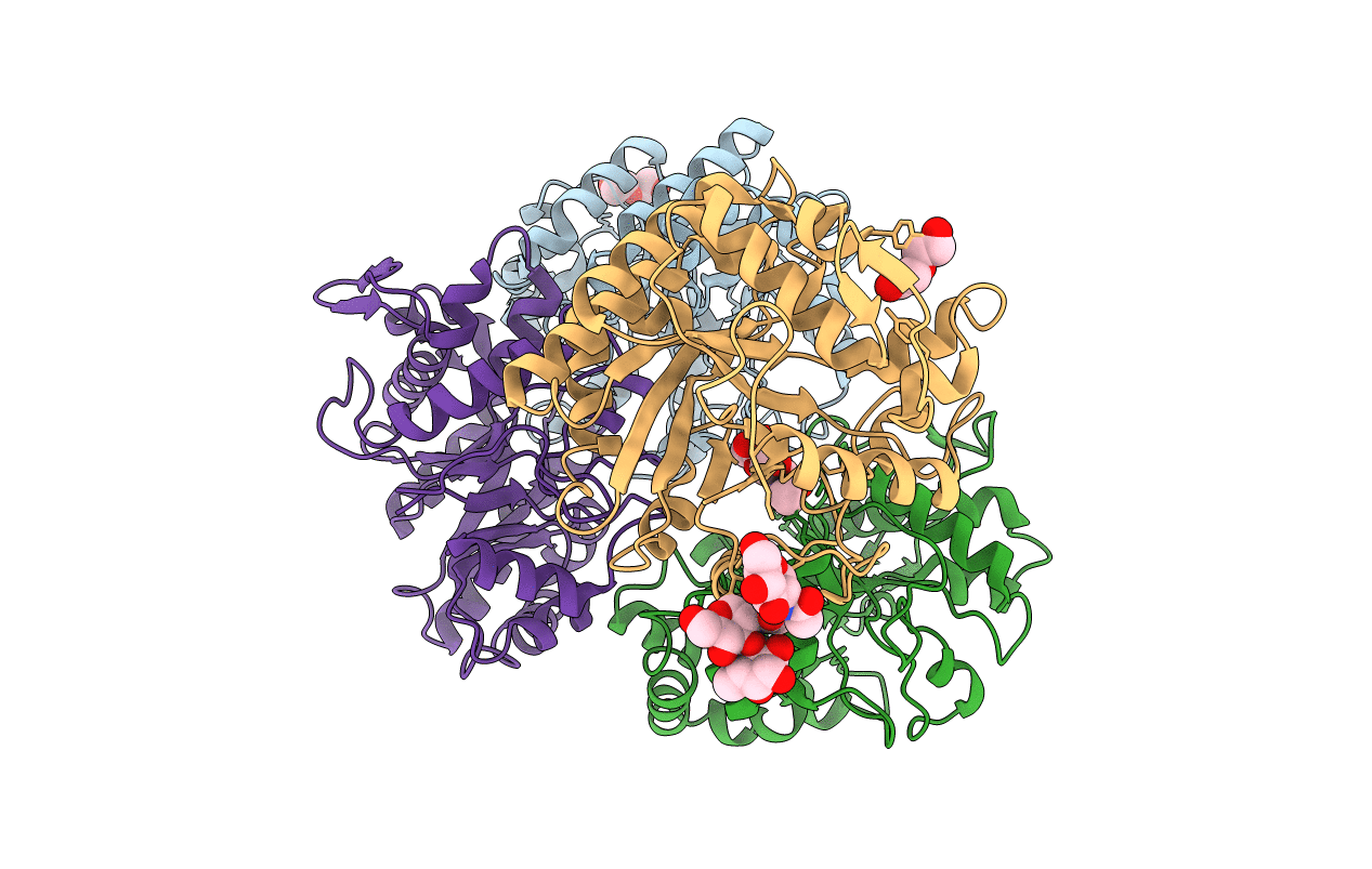 4HPG image