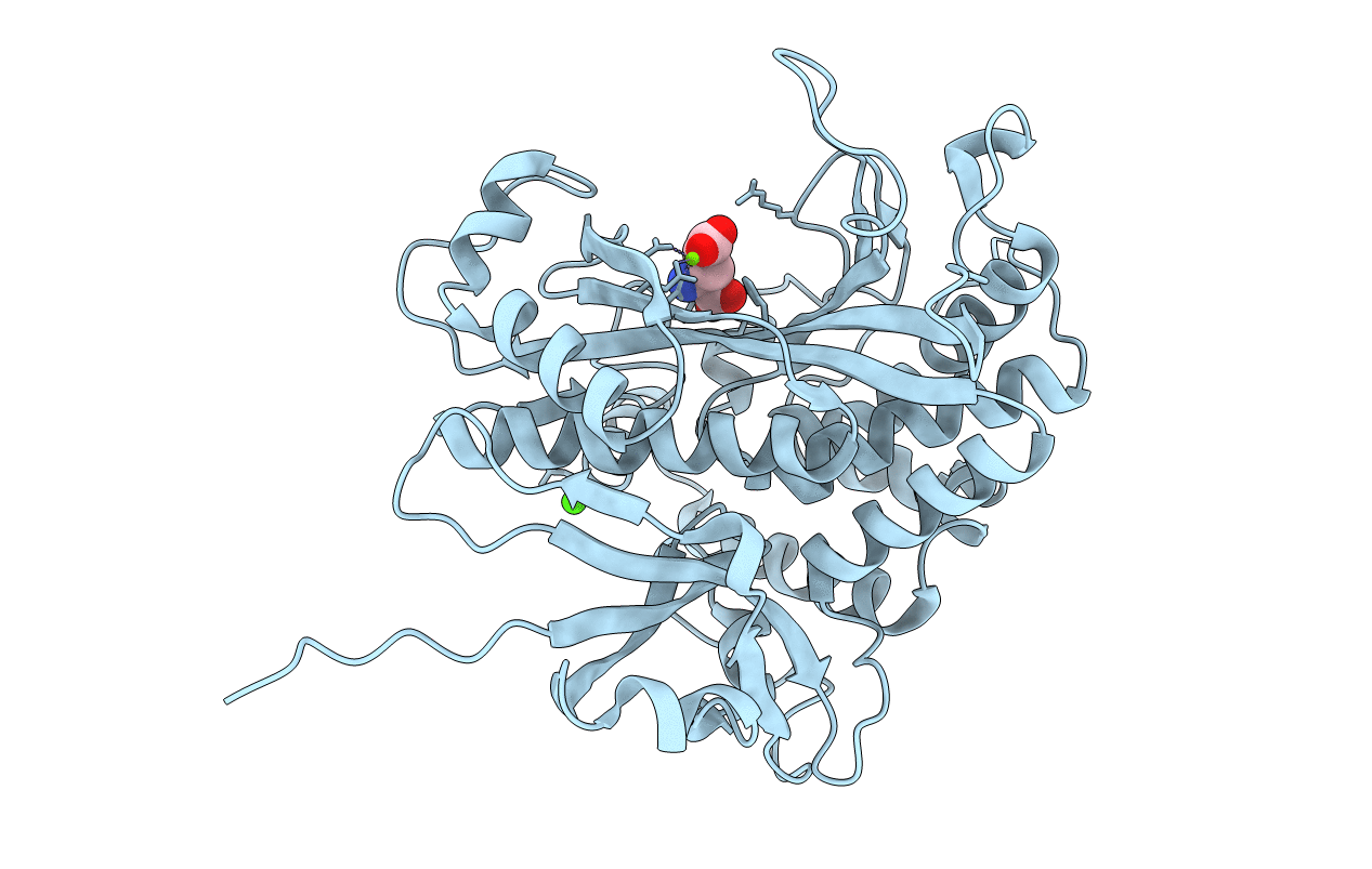 4HPP image