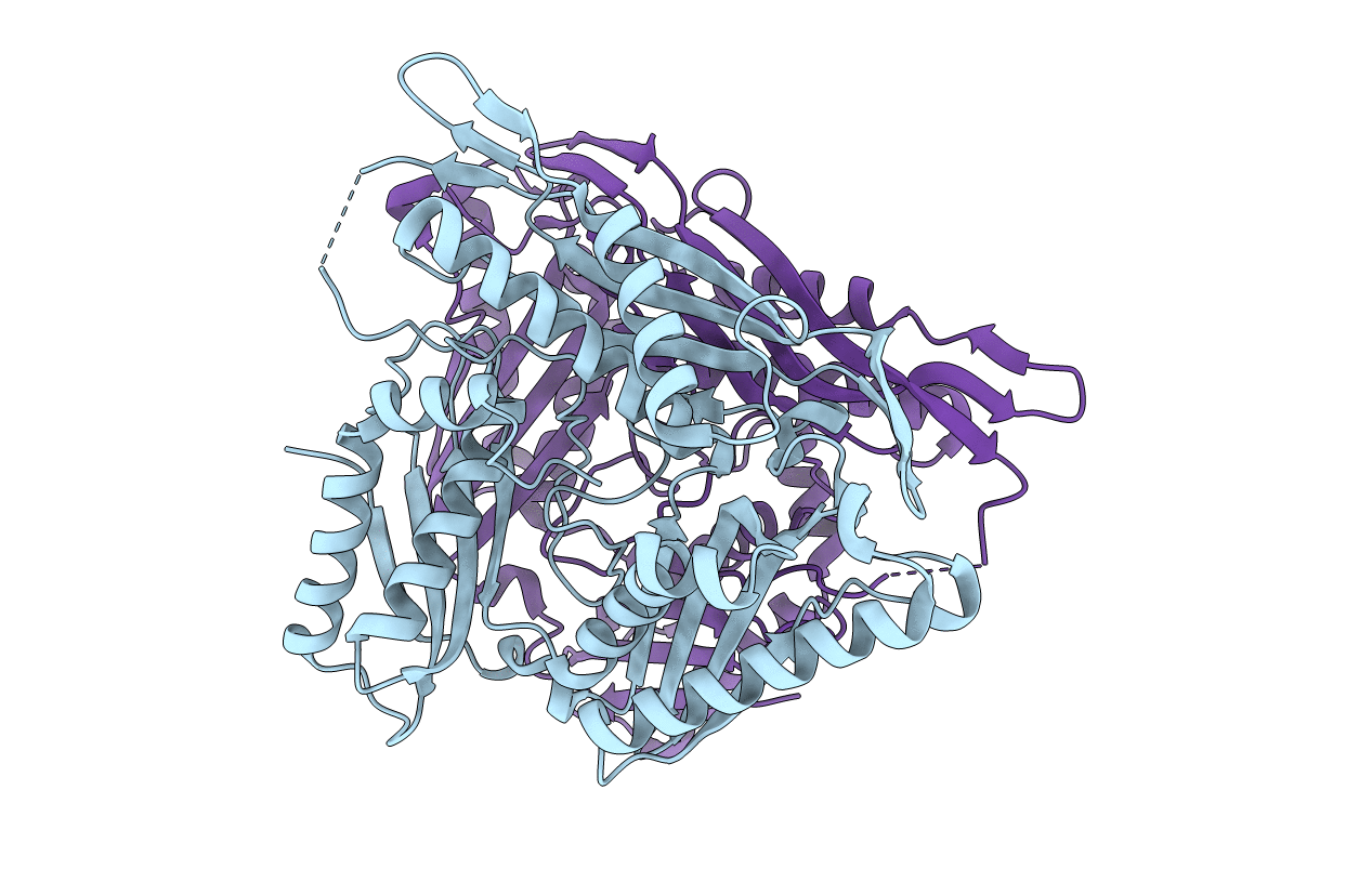 4HPV image