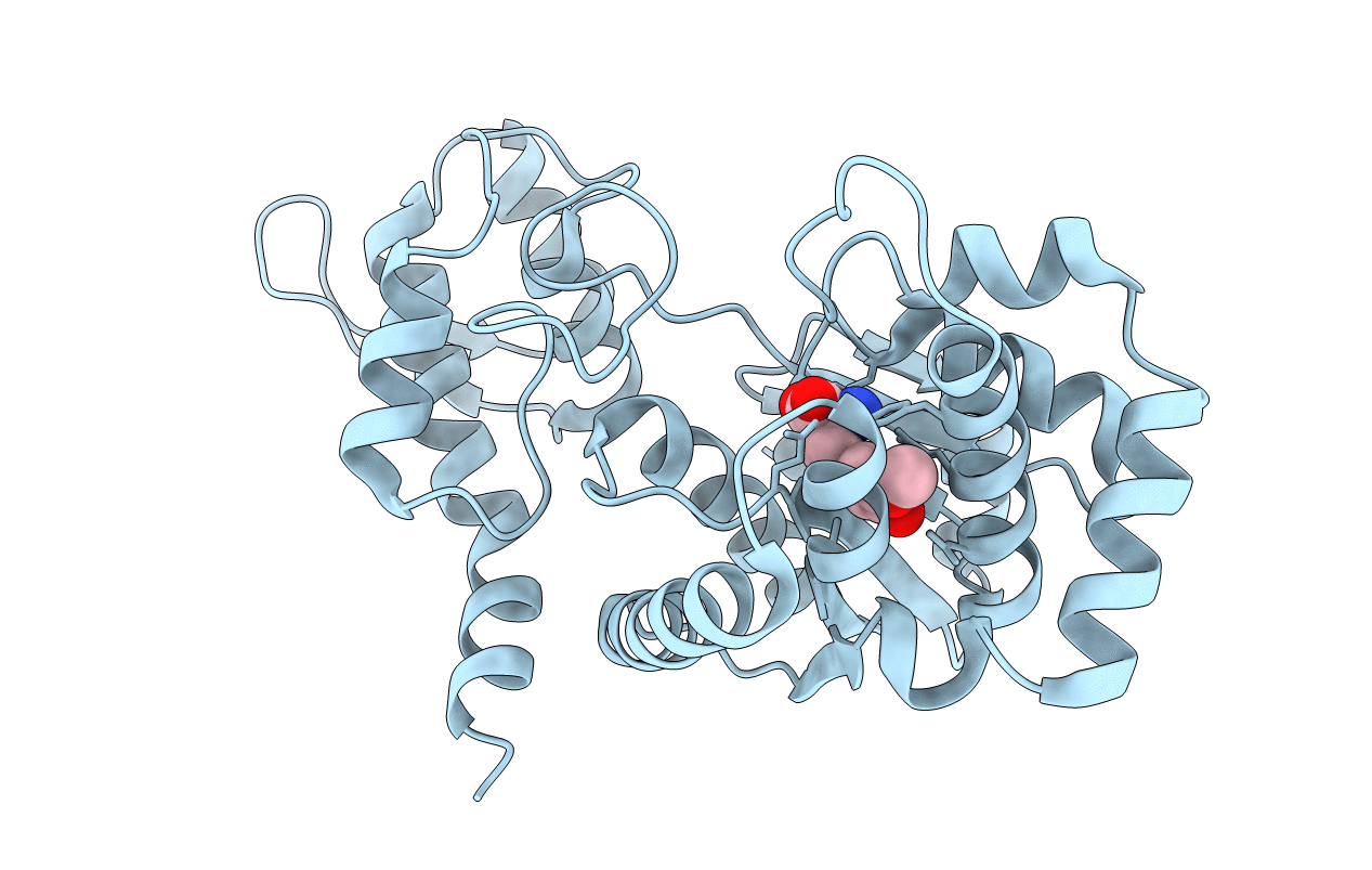 4HPW image