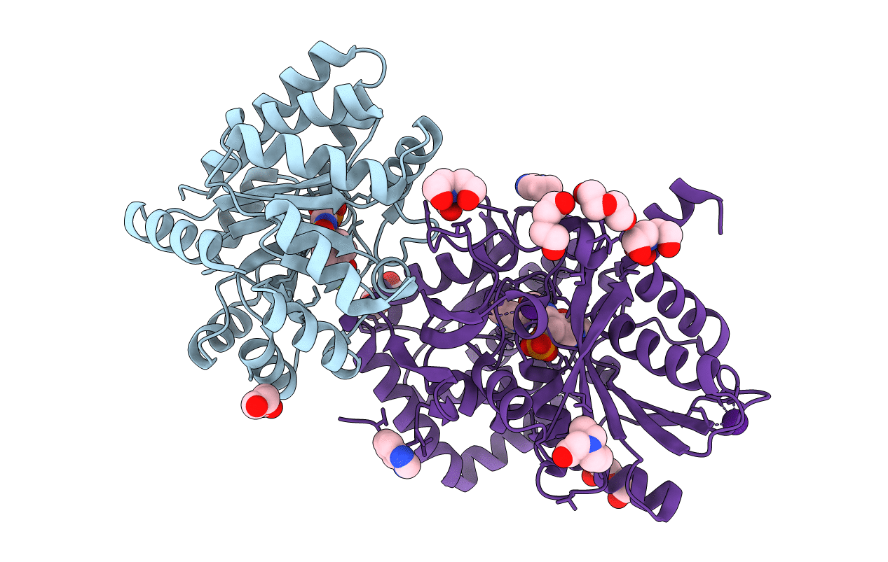 4HPX image