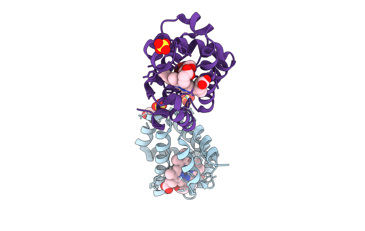 4HSX image