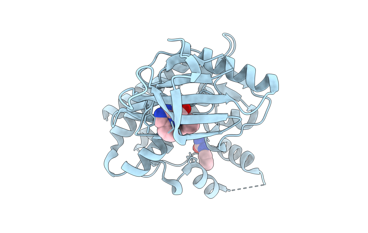 4HVD image