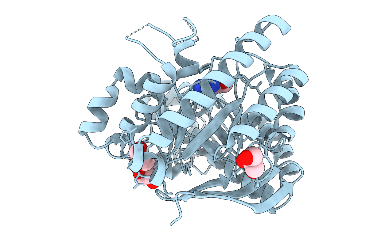 4HVX image