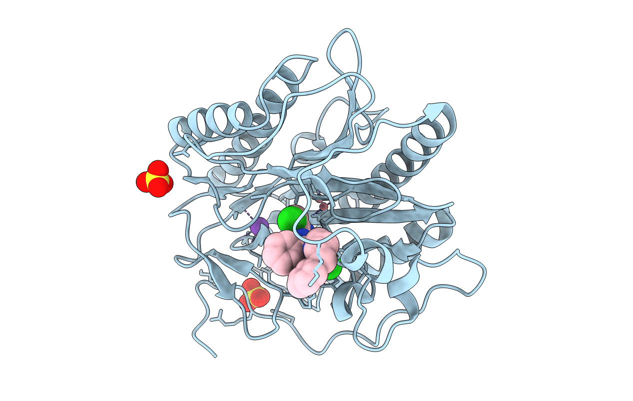 4HXX image