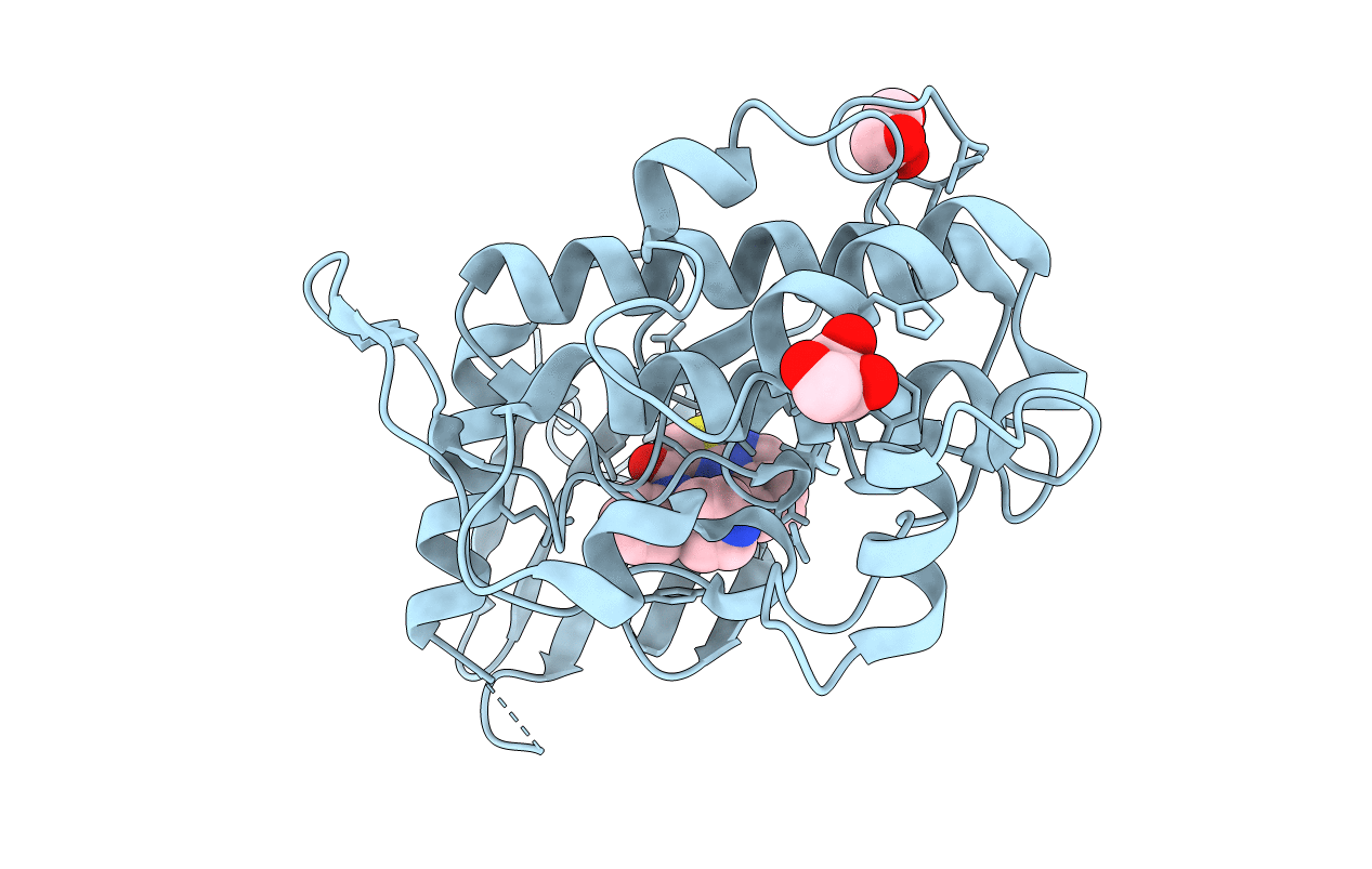 4HYI image