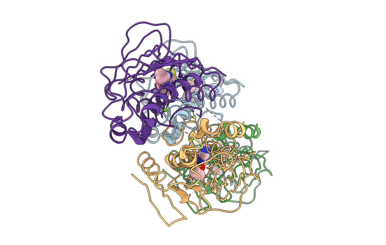 4HYP image