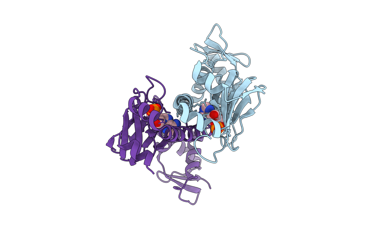 4I09 image
