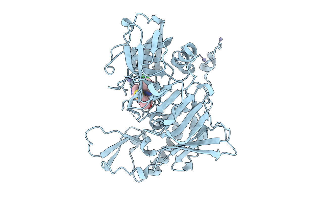 4I1C image