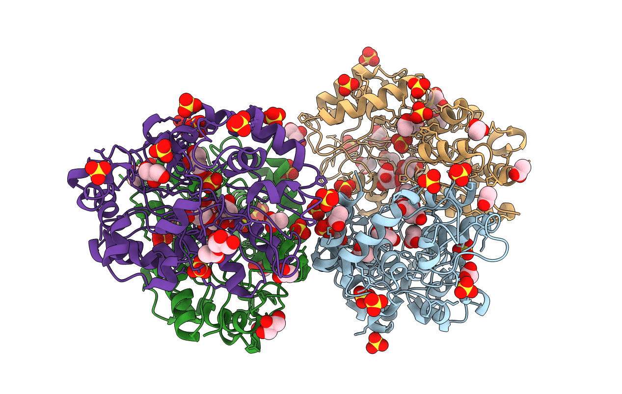 4I1D image