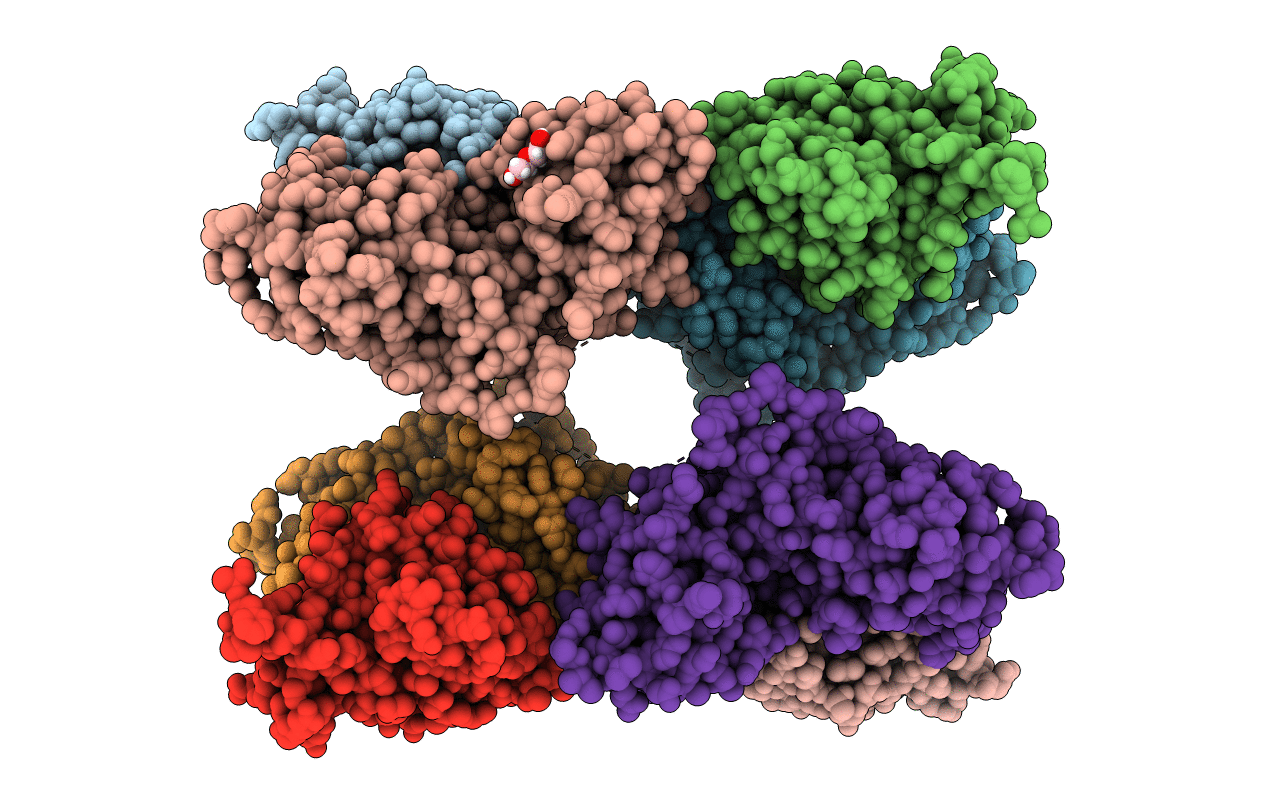 4I1O image