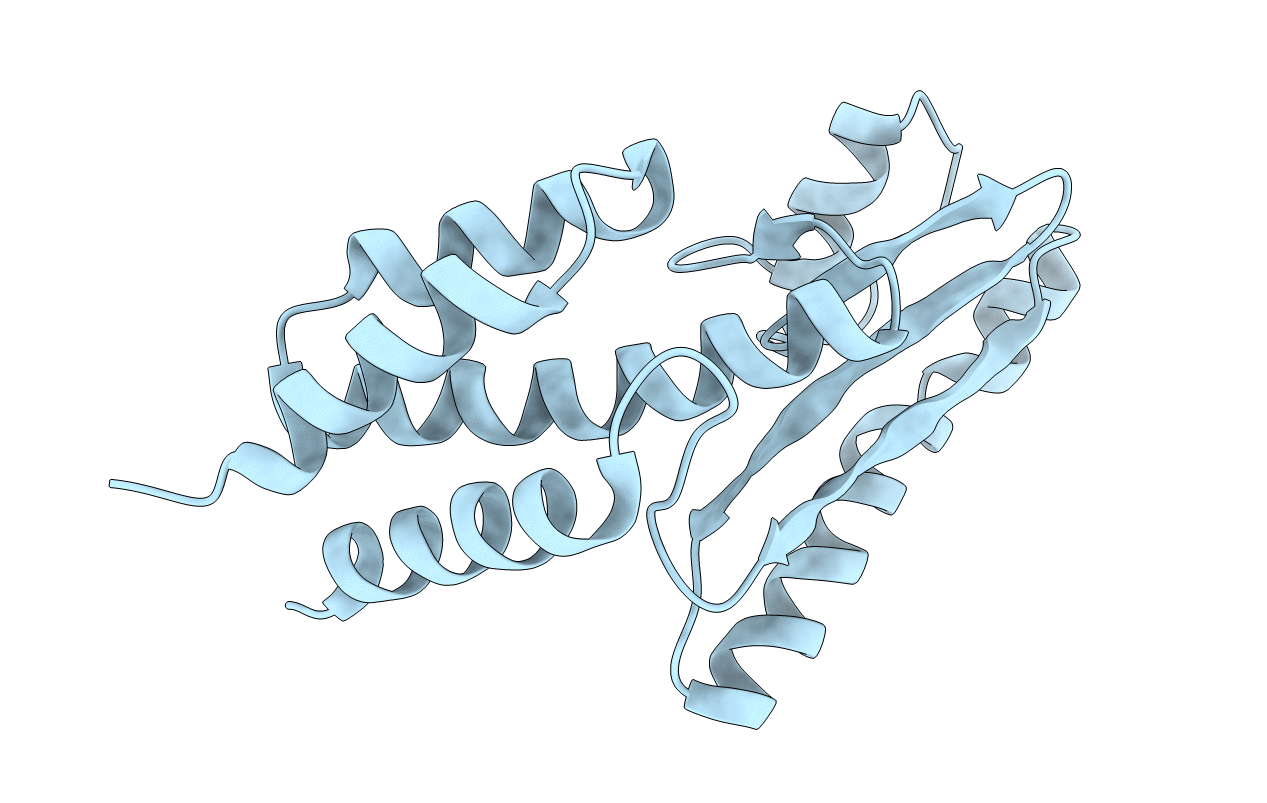 4I1T image