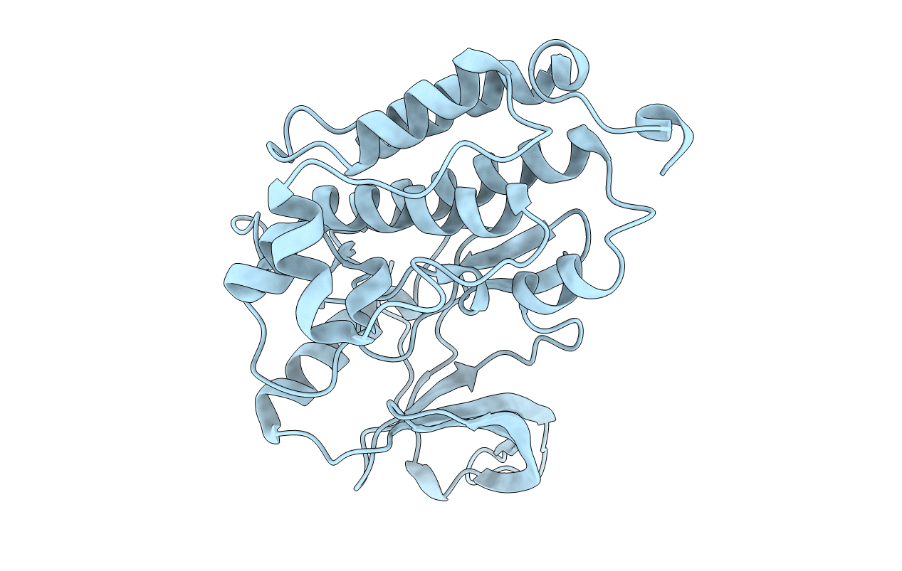 4I1Z image