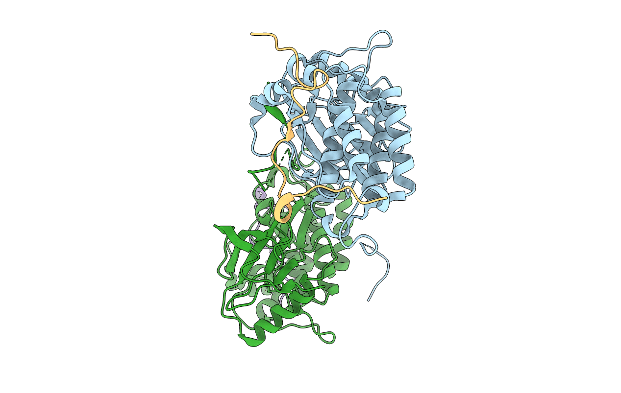 4I21 image