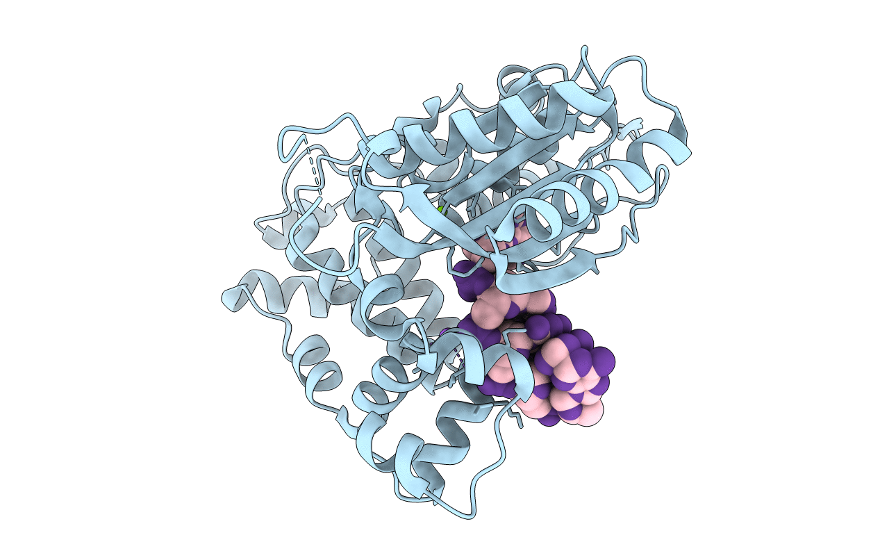 4I2A image