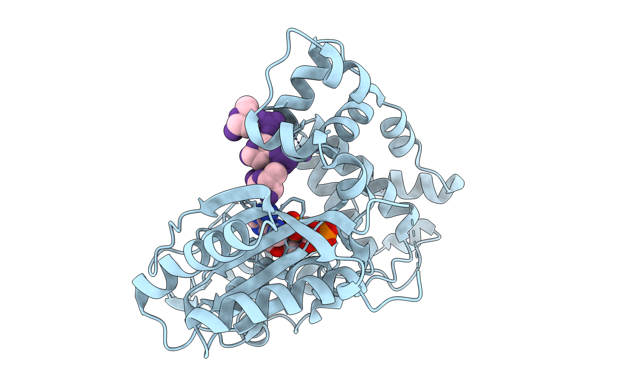 4I2E image