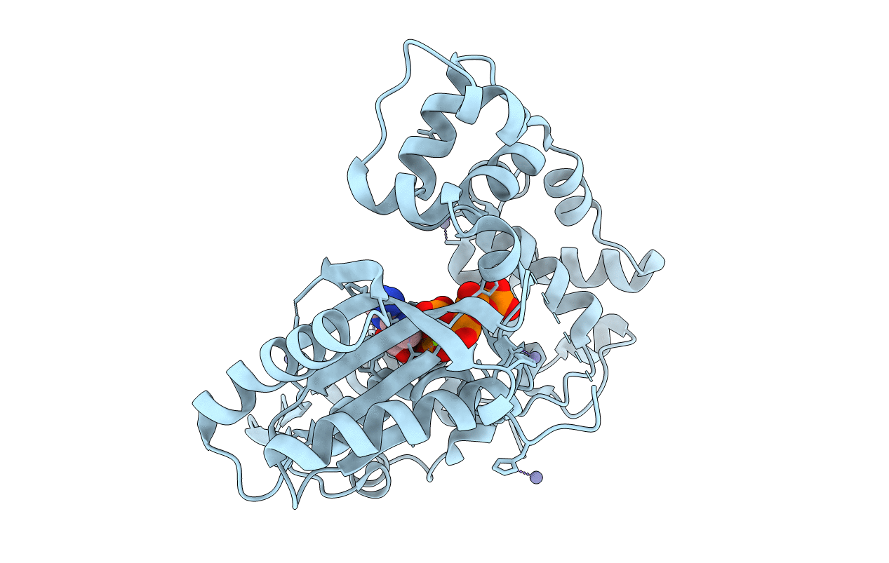 4I2I image