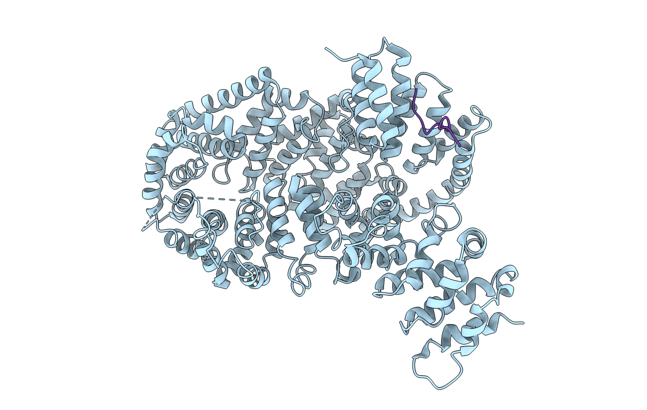 4I2W image