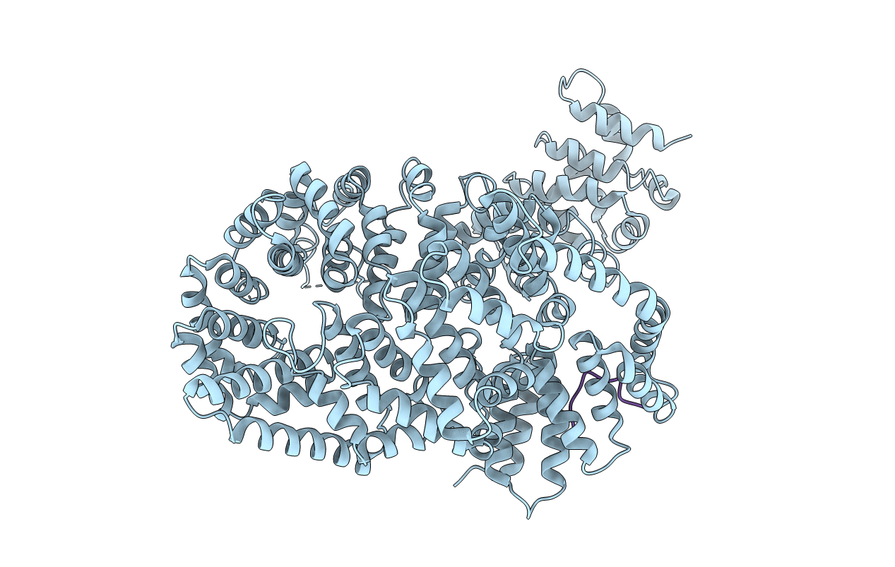 4I2Z image