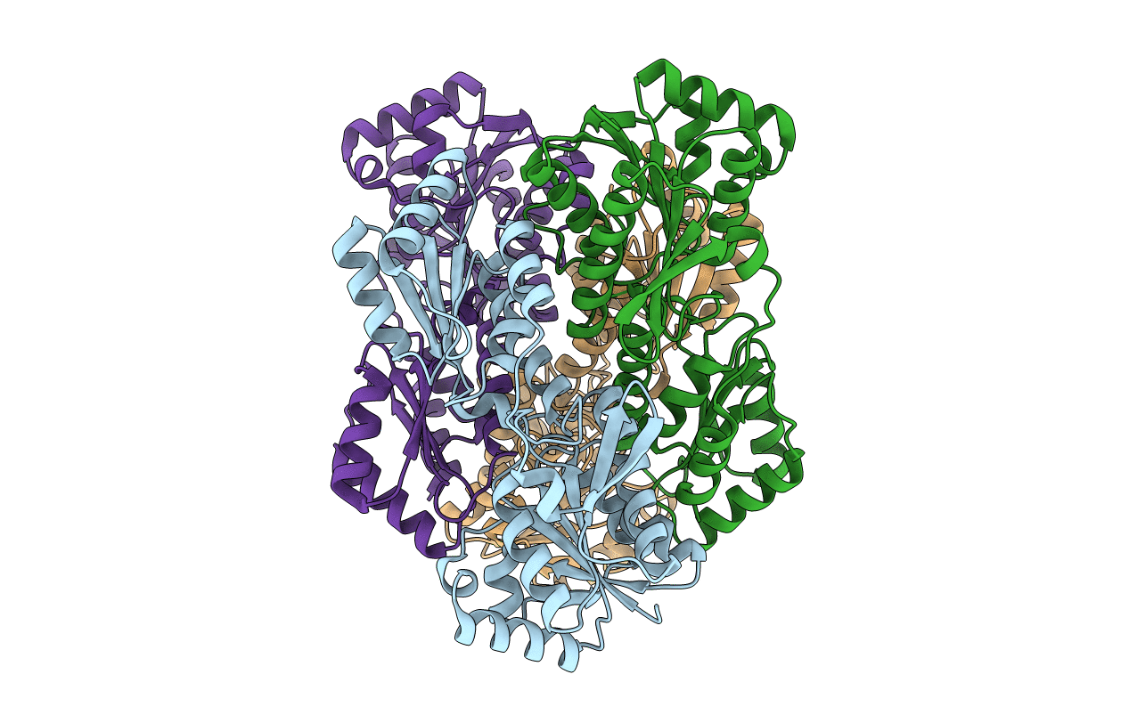 4I36 image