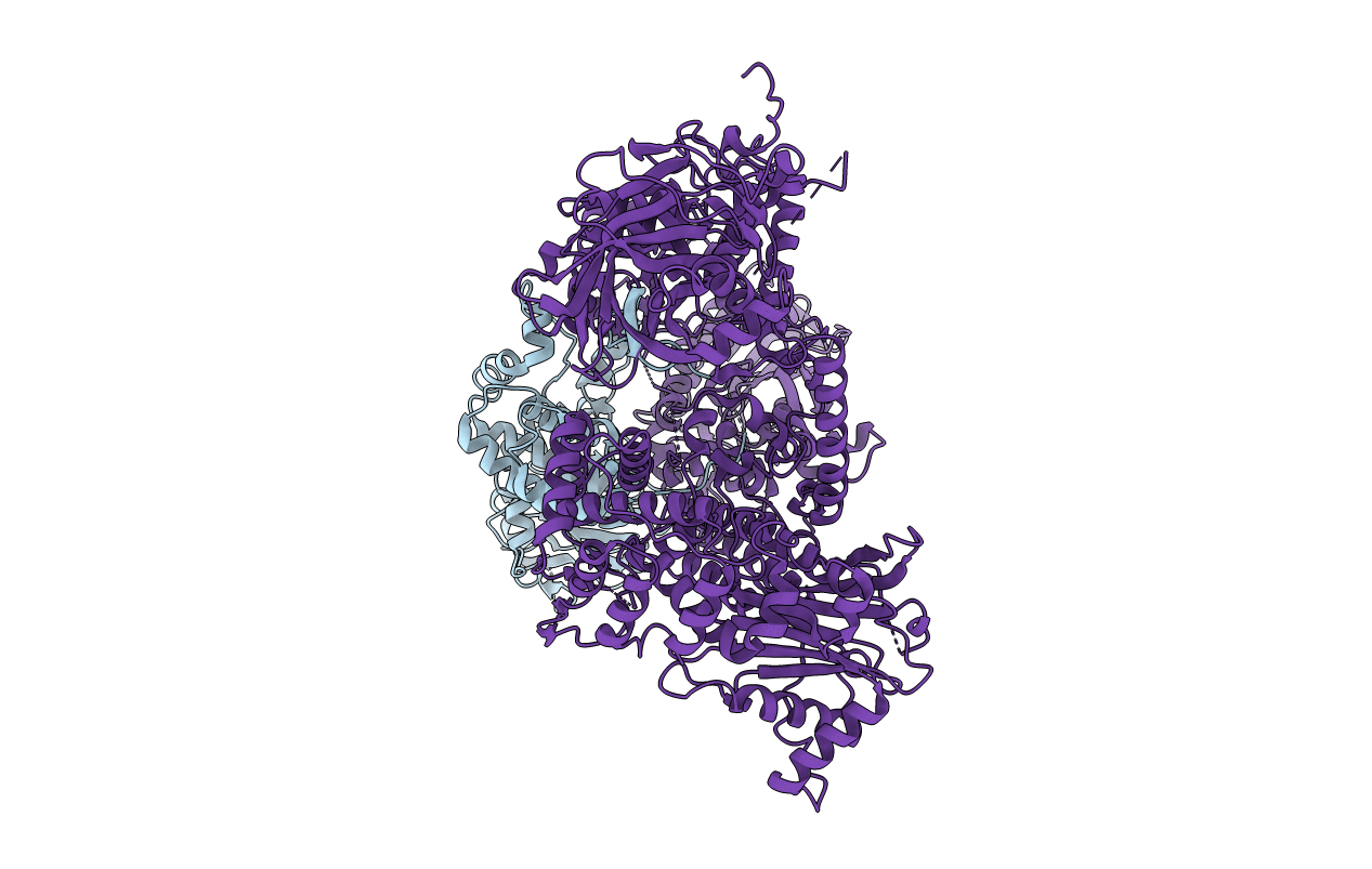 4I43 image