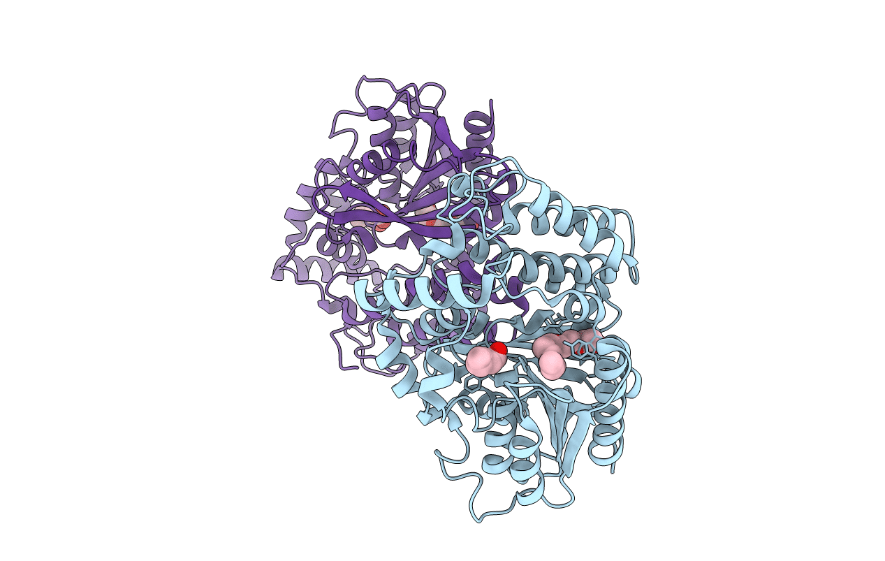 4I4C image