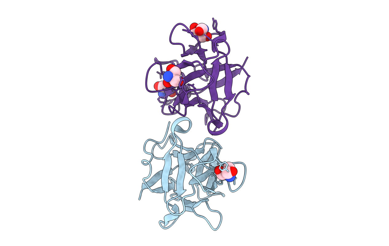 4I4P image