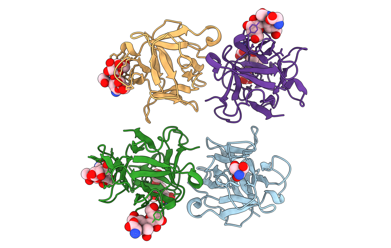 4I4Y image