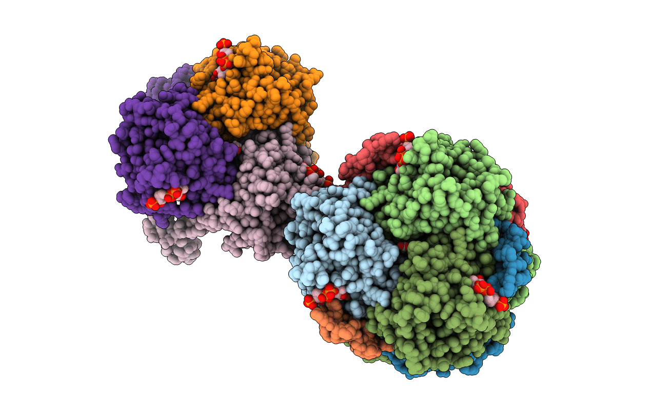4I4Z image