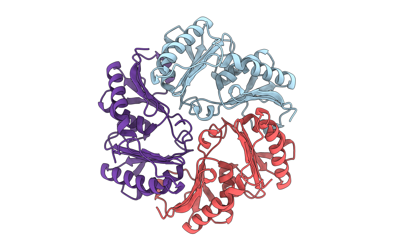 4I61 image