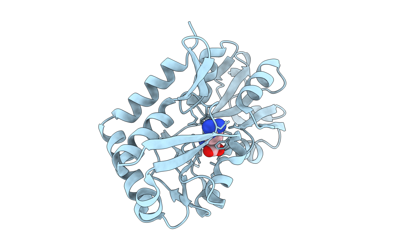 4I62 image