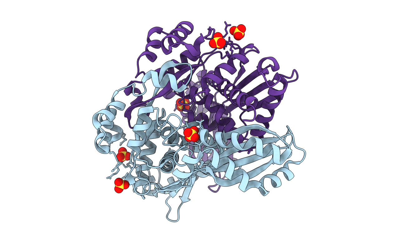 4I64 image
