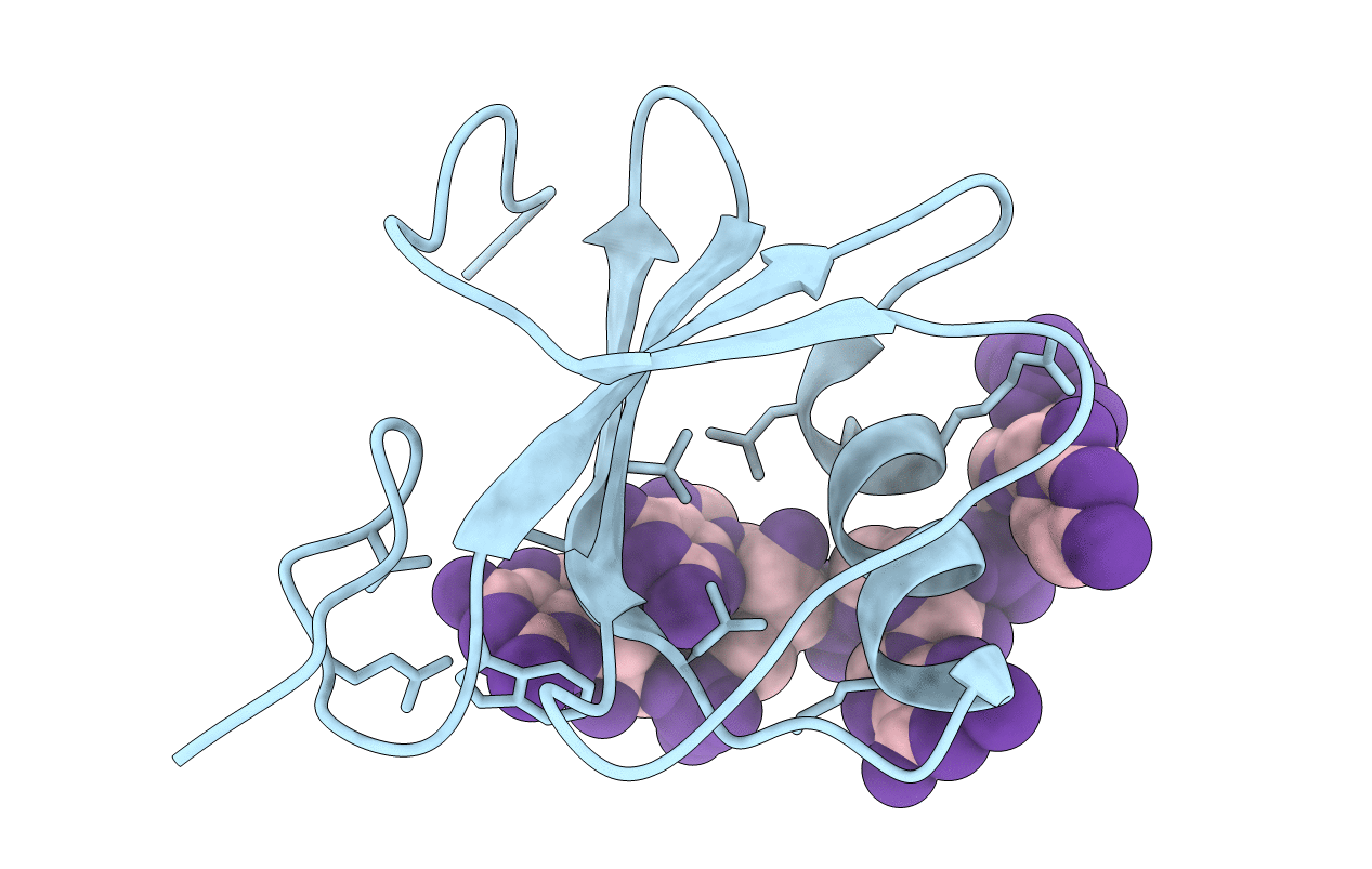 4I67 image