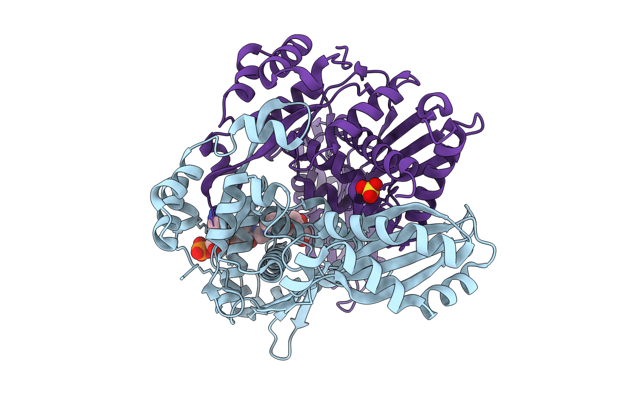 4I6A image