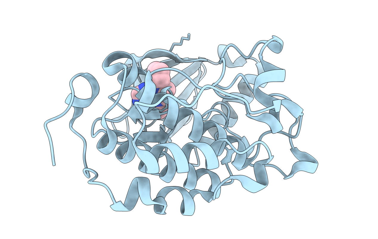 4I6B image