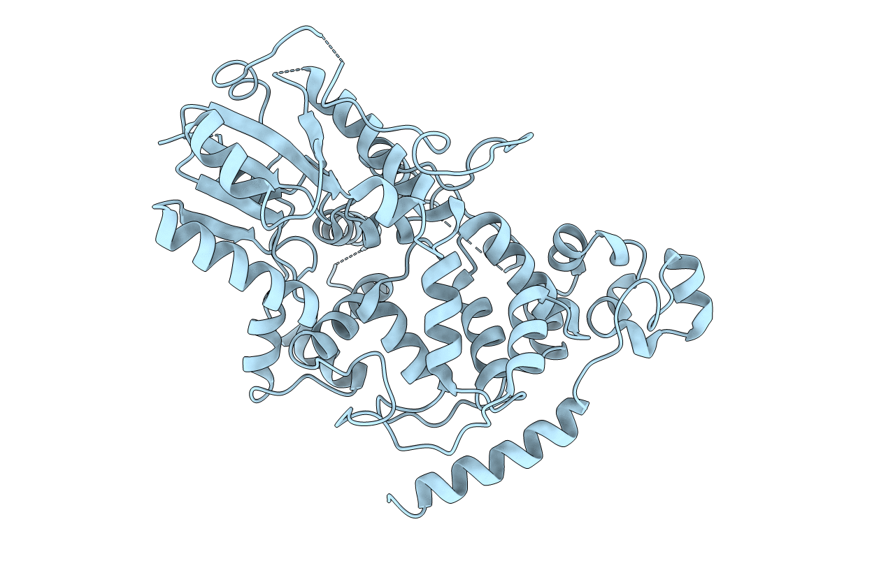 4I6E image