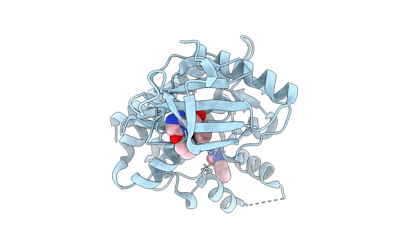 4I6Q image