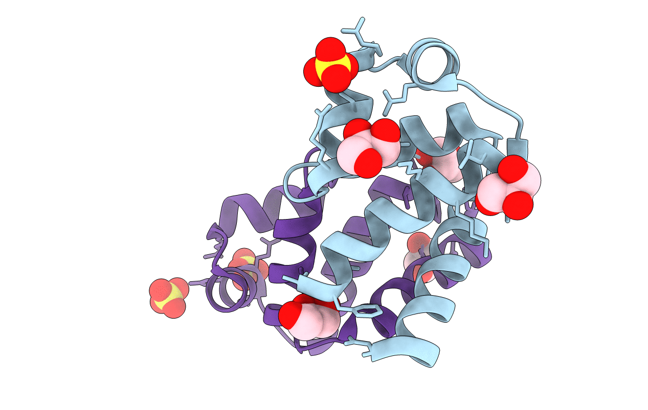 4I6R image