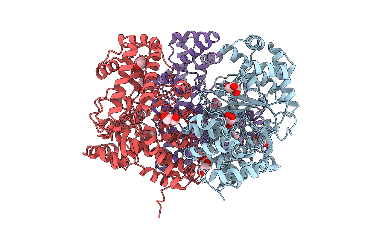 4I6V image
