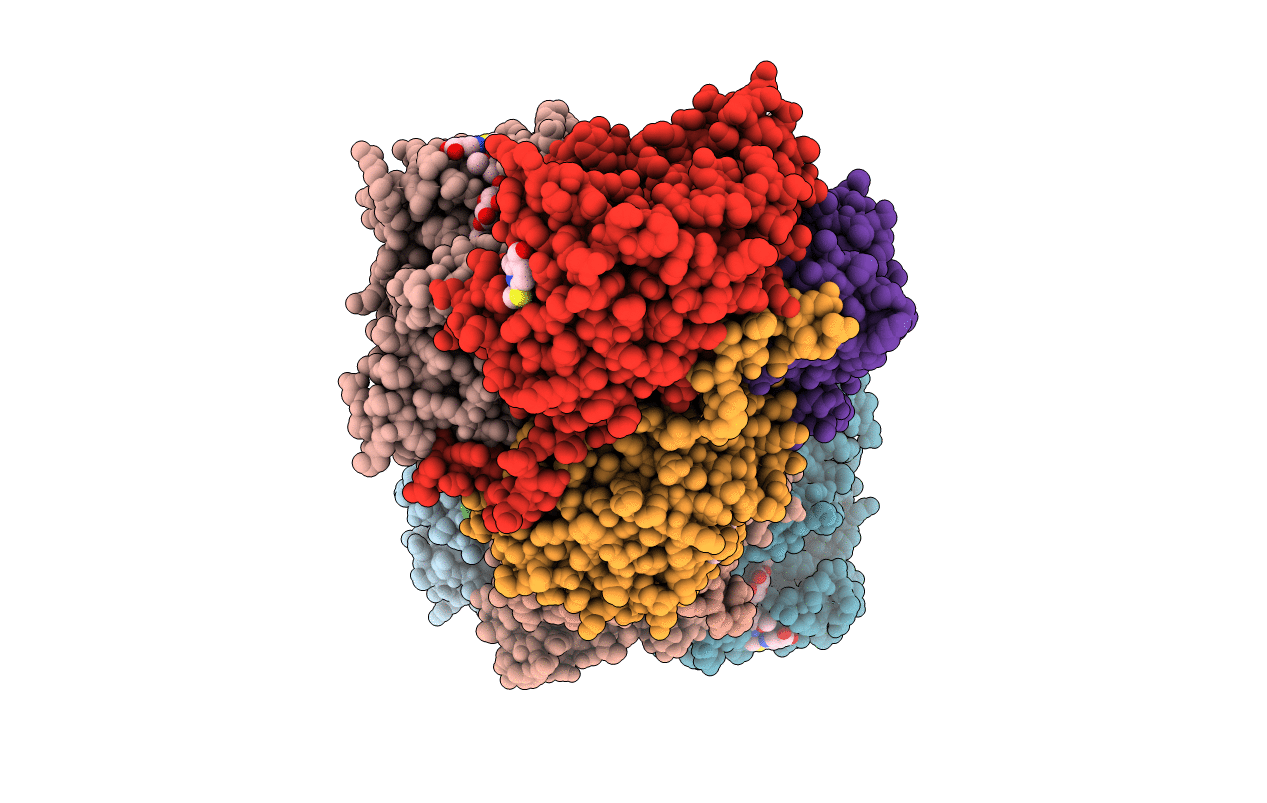 4I9H image