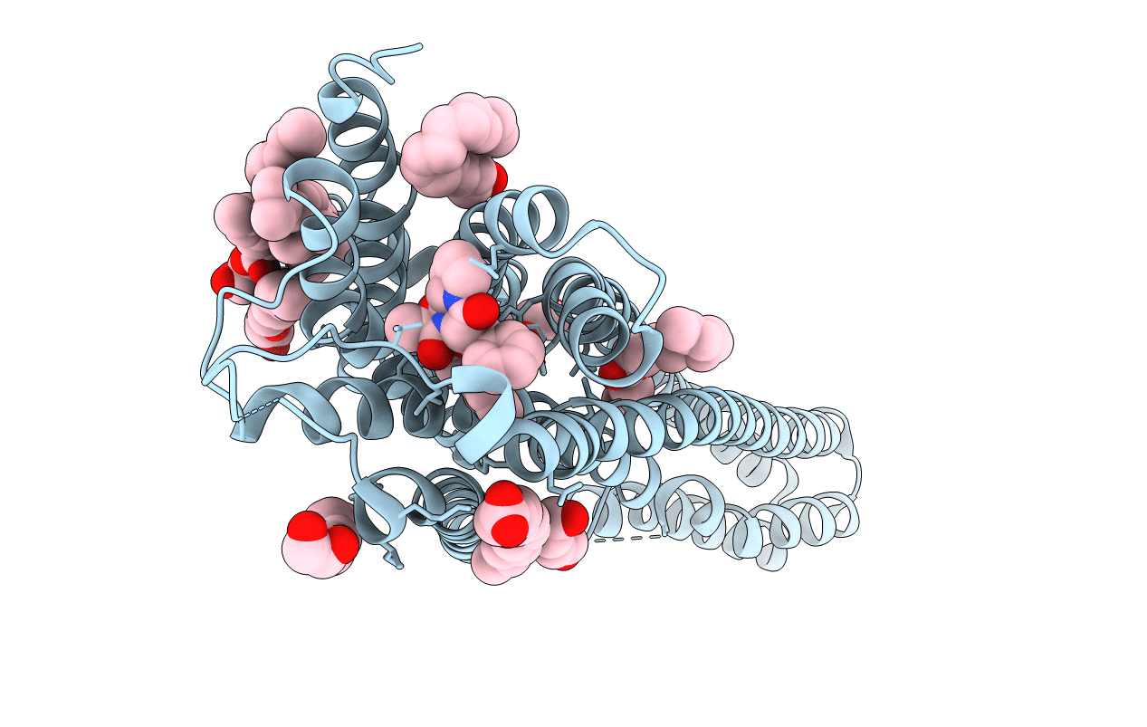 4IB4 image